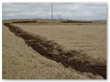 The waterline trench up to the construction site.